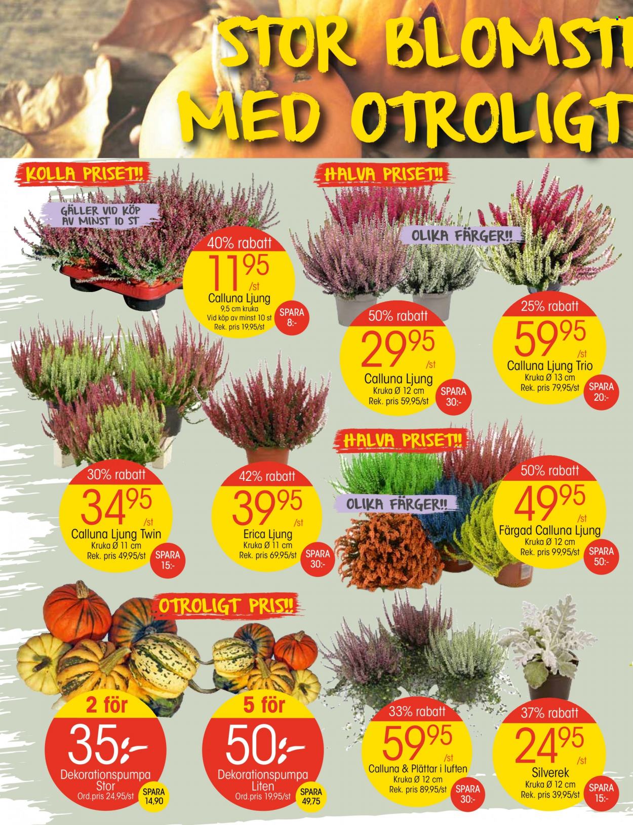 EKO reklamblad - 9/10 2023 - 15/10 2023. Sida 2
