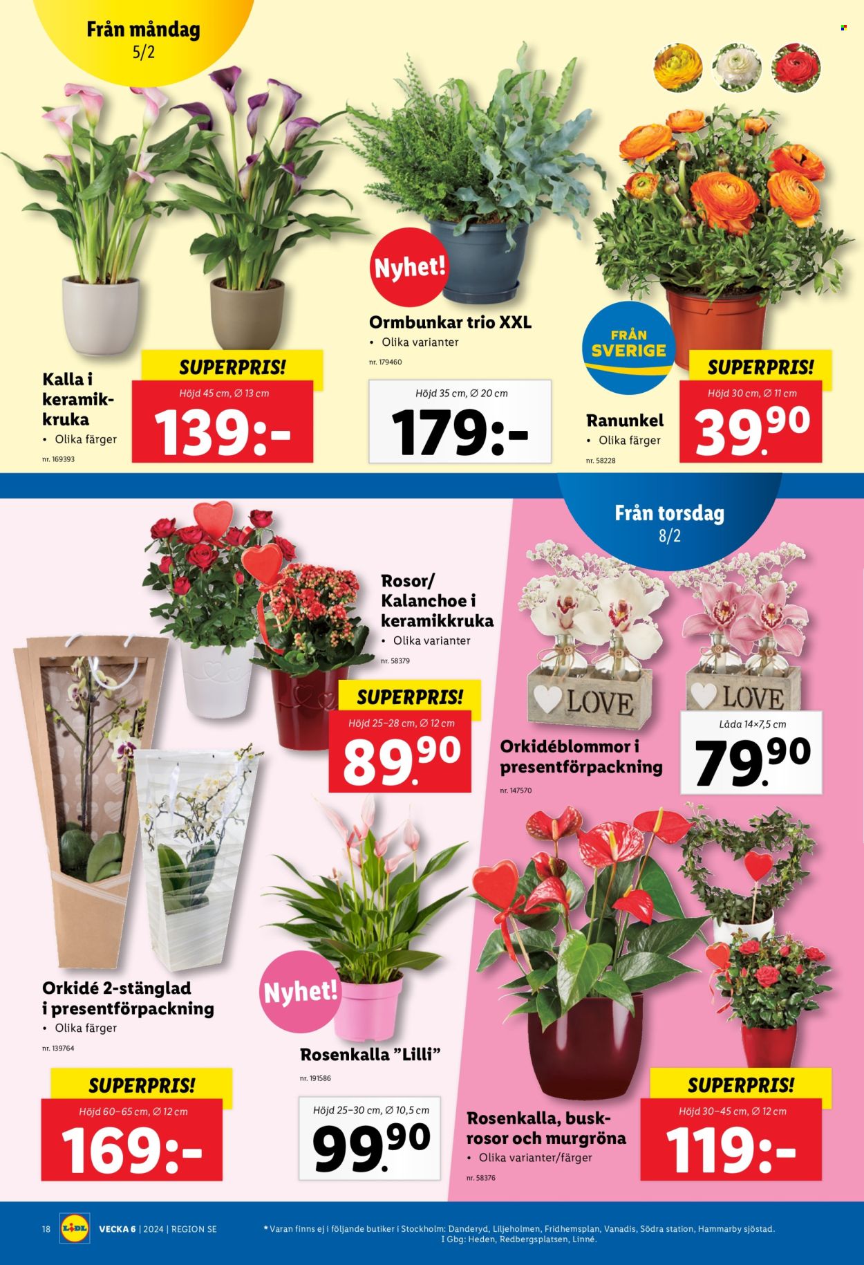 Lidl reklamblad - 5/2 2024 - 11/2 2024. Sida 21