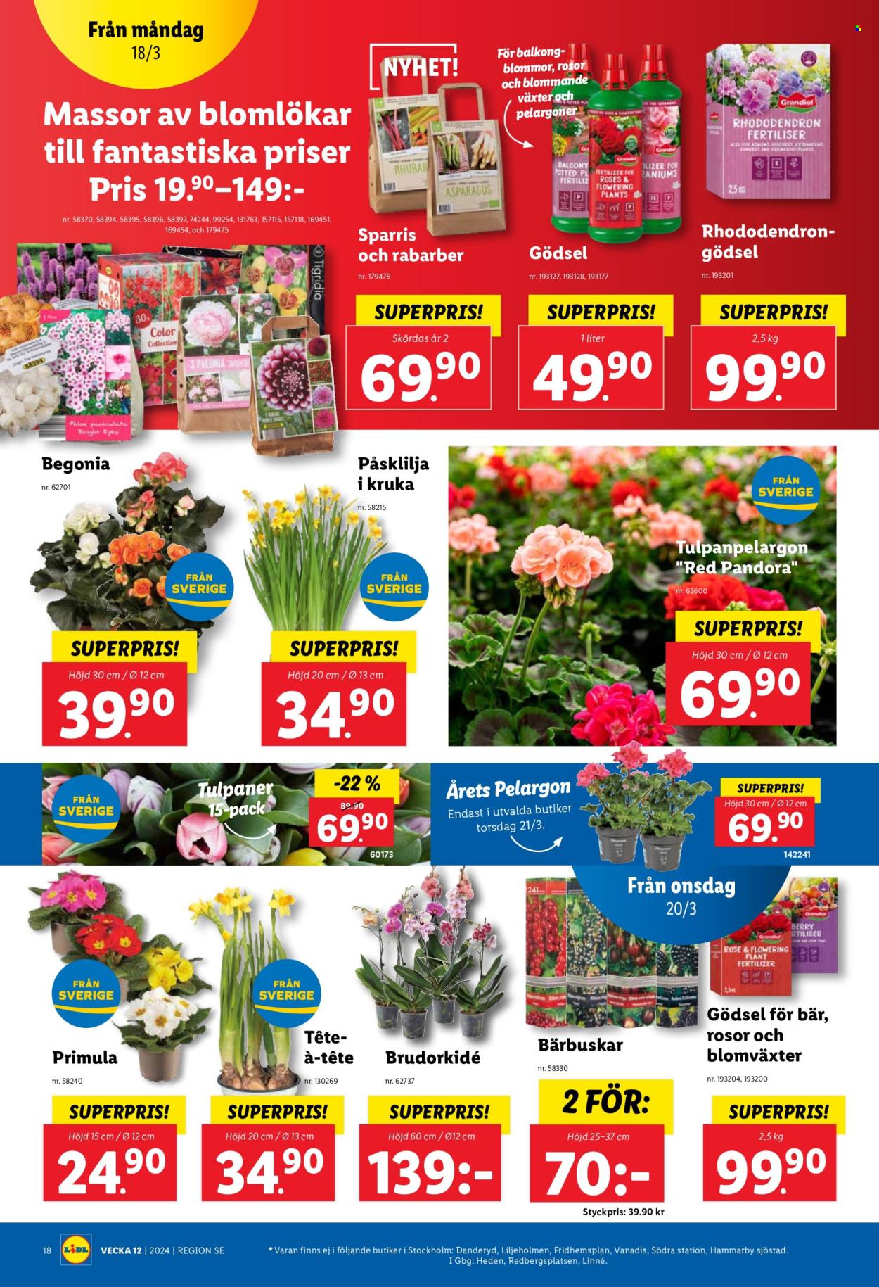 Lidl reklamblad - 18/3 2024 - 24/3 2024. Sida 22