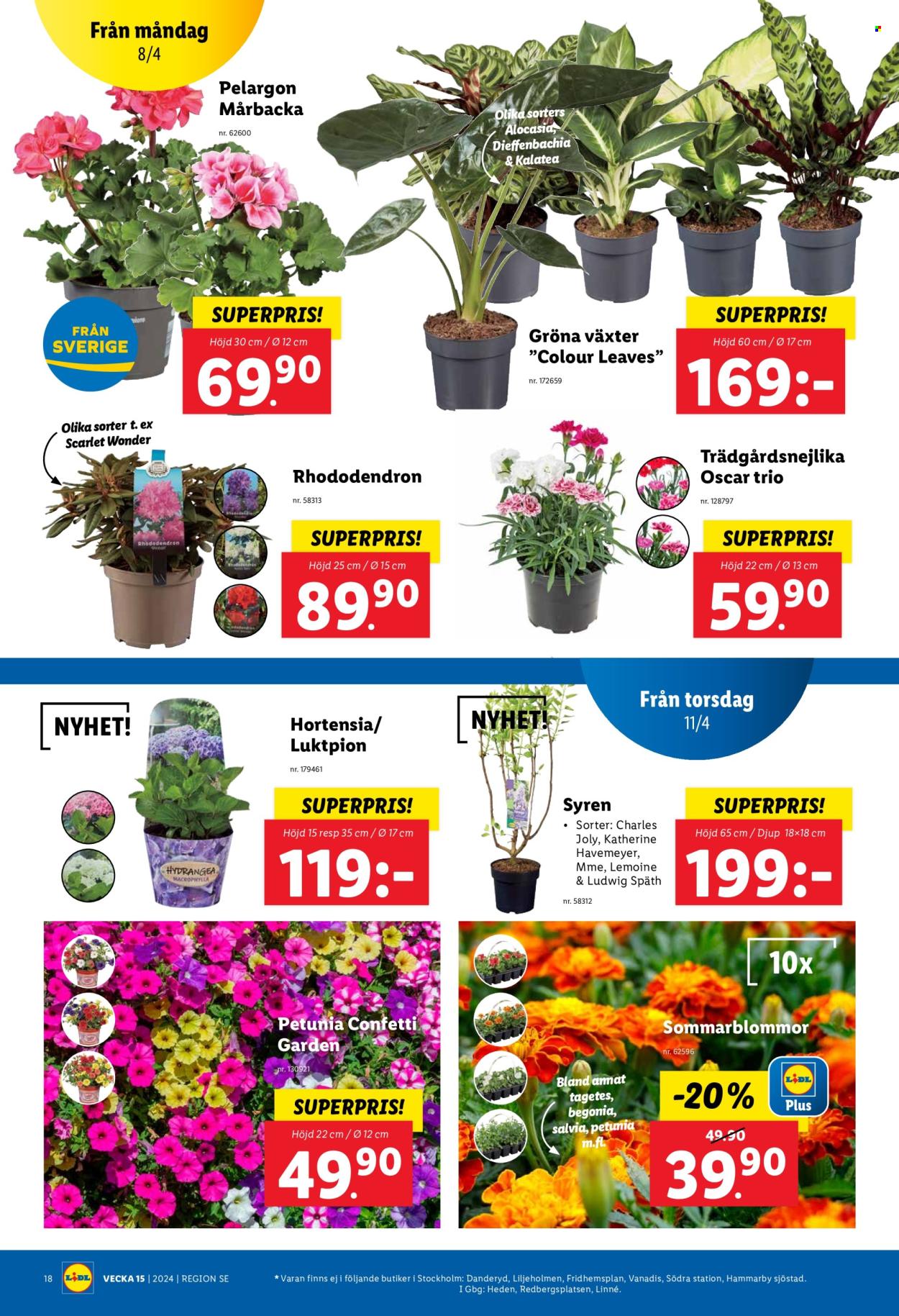Lidl reklamblad - 8/4 2024 - 14/4 2024. Sida 21