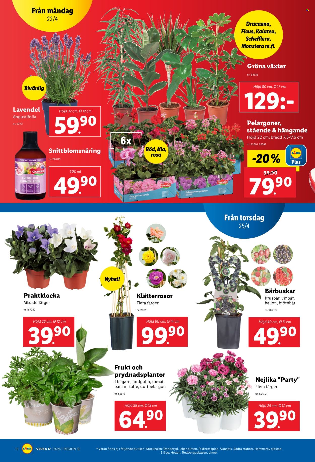 Lidl reklamblad - 22/4 2024 - 28/4 2024. Sida 23