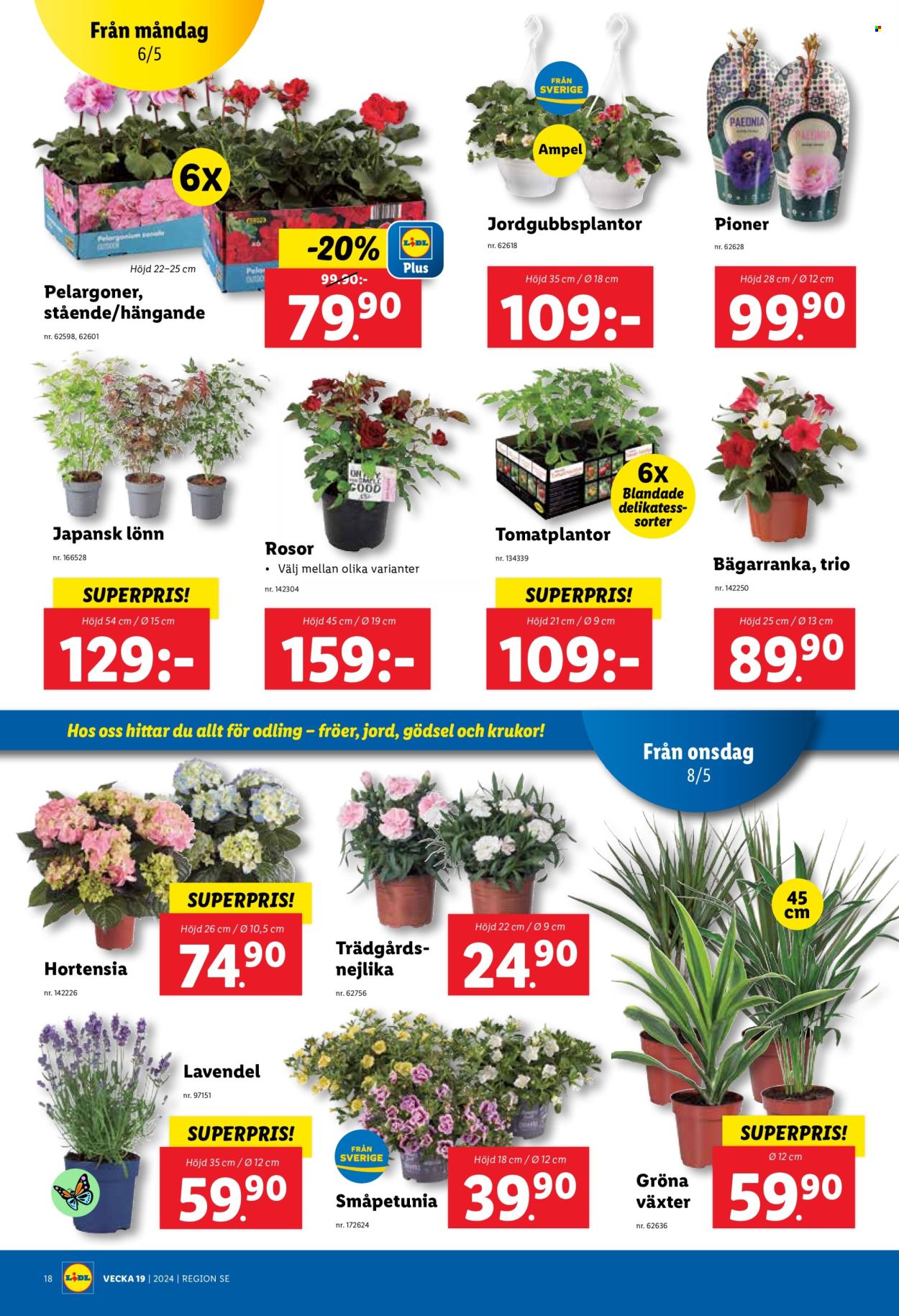 Lidl reklamblad - 6/5 2024 - 12/5 2024. Sida 20