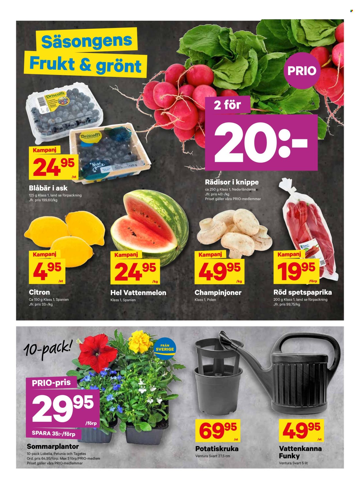 City Gross reklamblad - 6/5 2024 - 12/5 2024. Sida 3