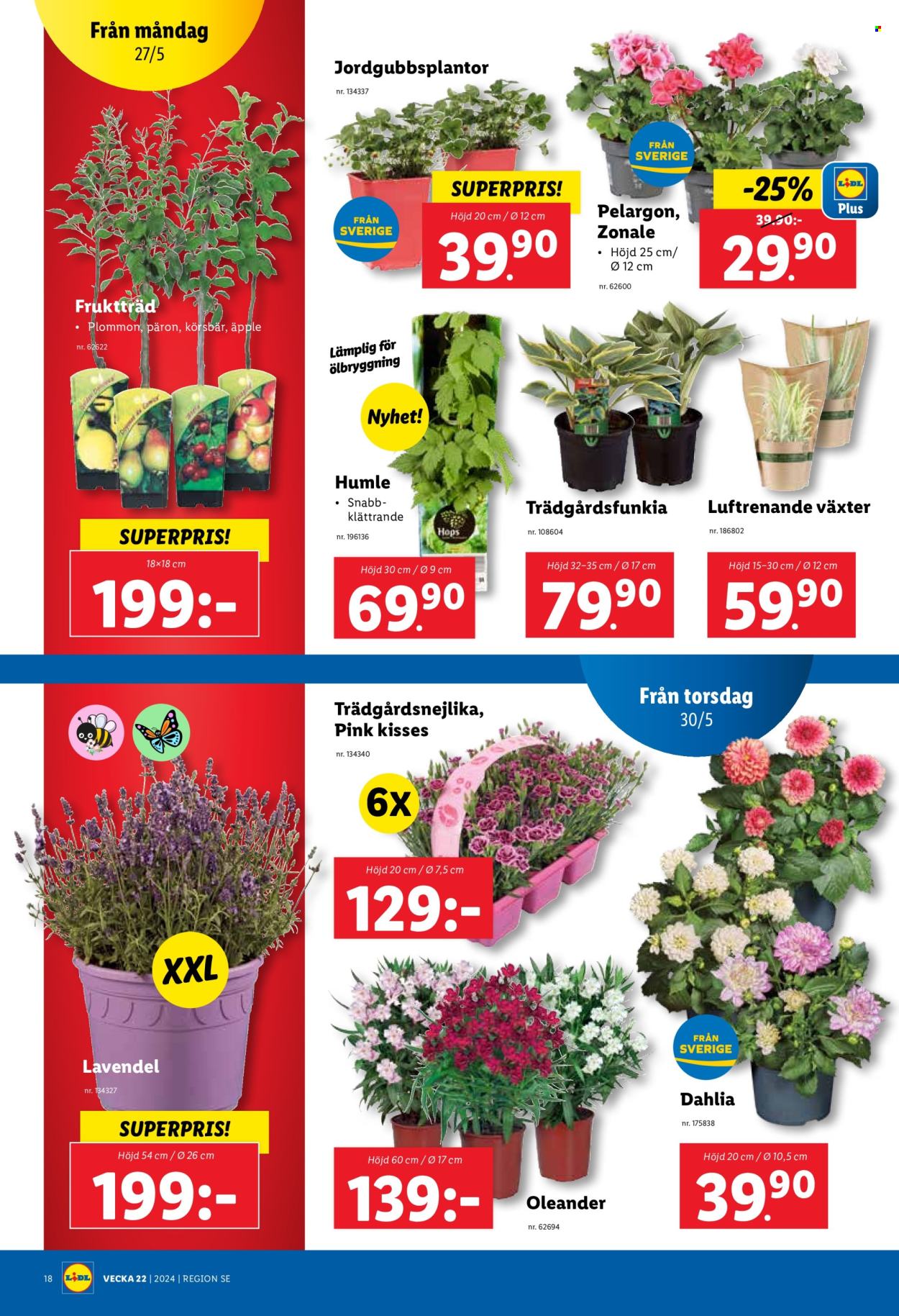Lidl reklamblad - 27/5 2024 - 2/6 2024. Sida 20