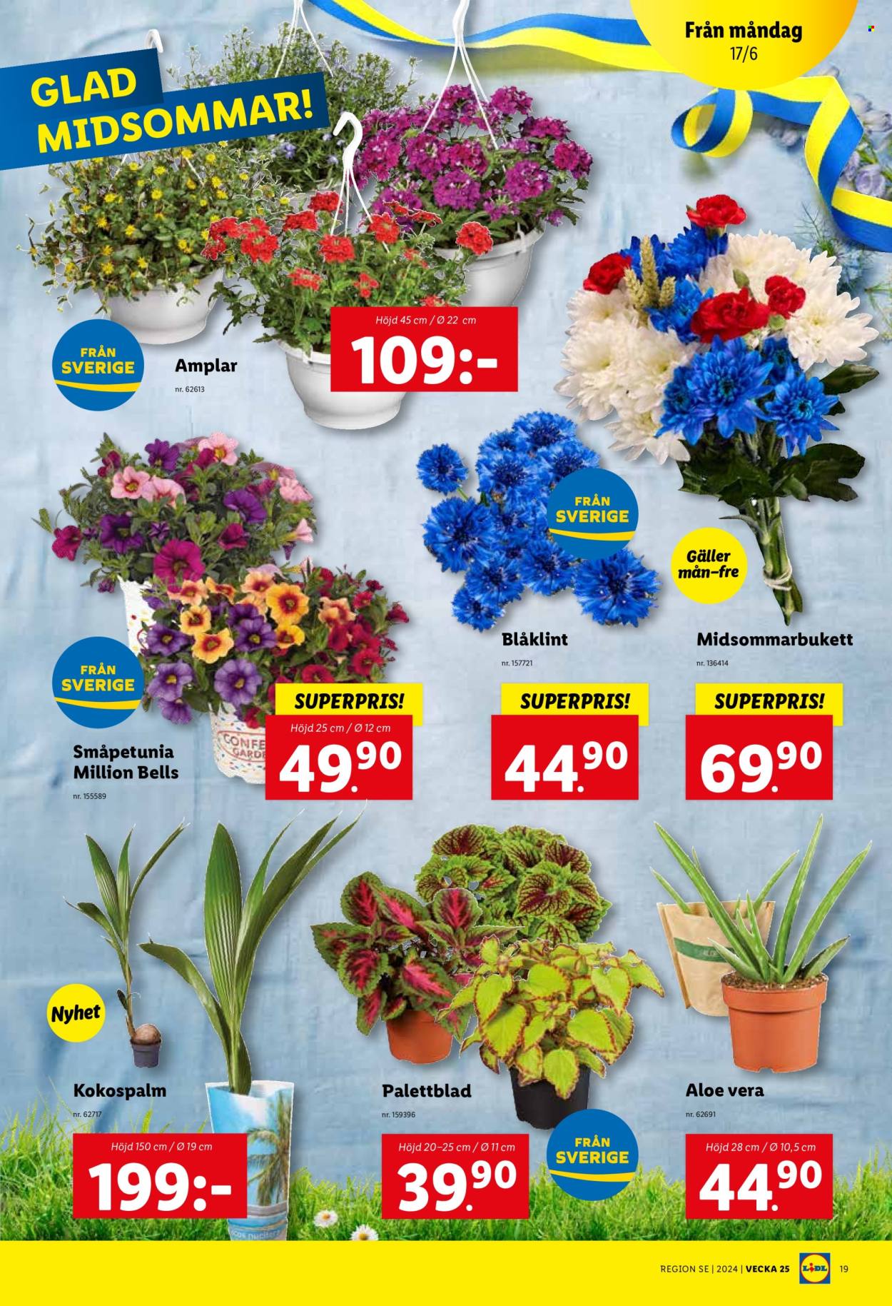 Lidl reklamblad - 17/6 2024 - 23/6 2024. Sida 19
