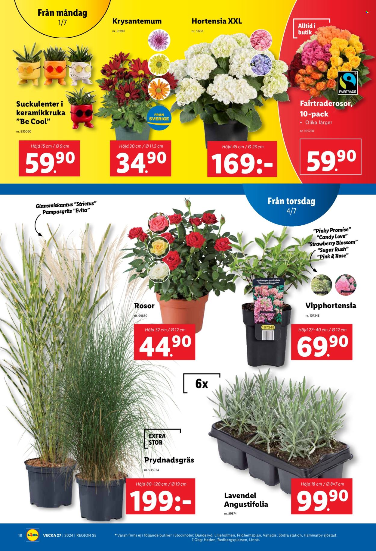 Lidl reklamblad - 1/7 2024 - 7/7 2024. Sida 22