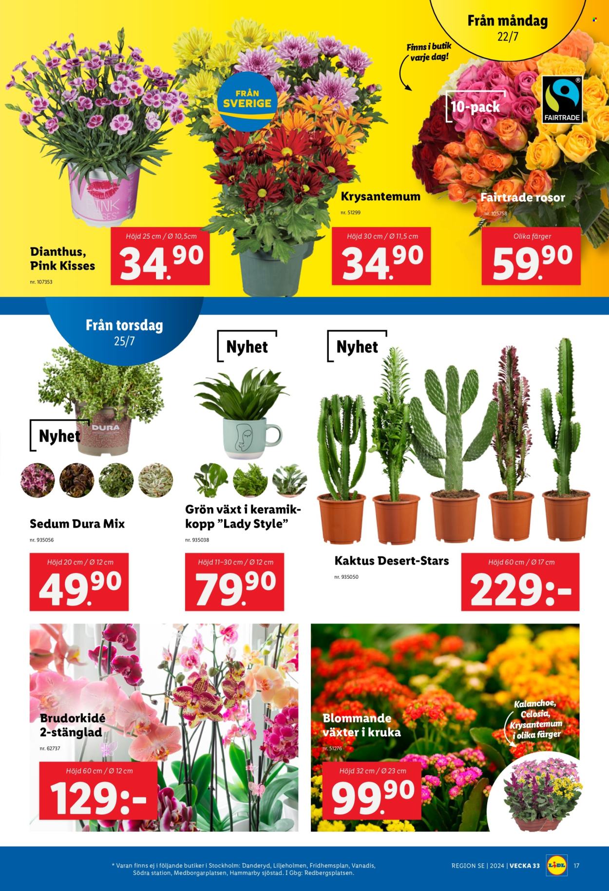 Lidl reklamblad - 22/7 2024 - 28/7 2024. Sida 19
