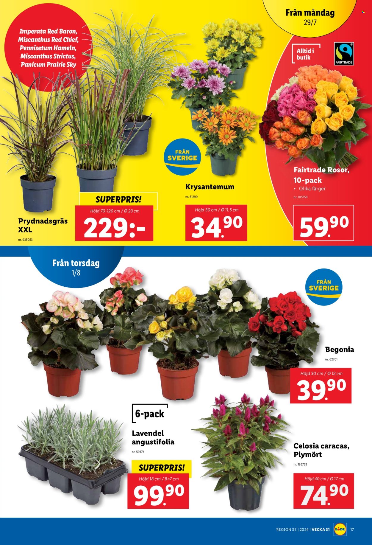 Lidl reklamblad - 29/7 2024 - 4/8 2024. Sida 19