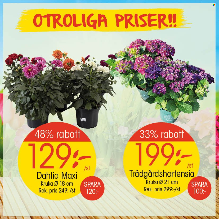 EKO reklamblad. Sida 12