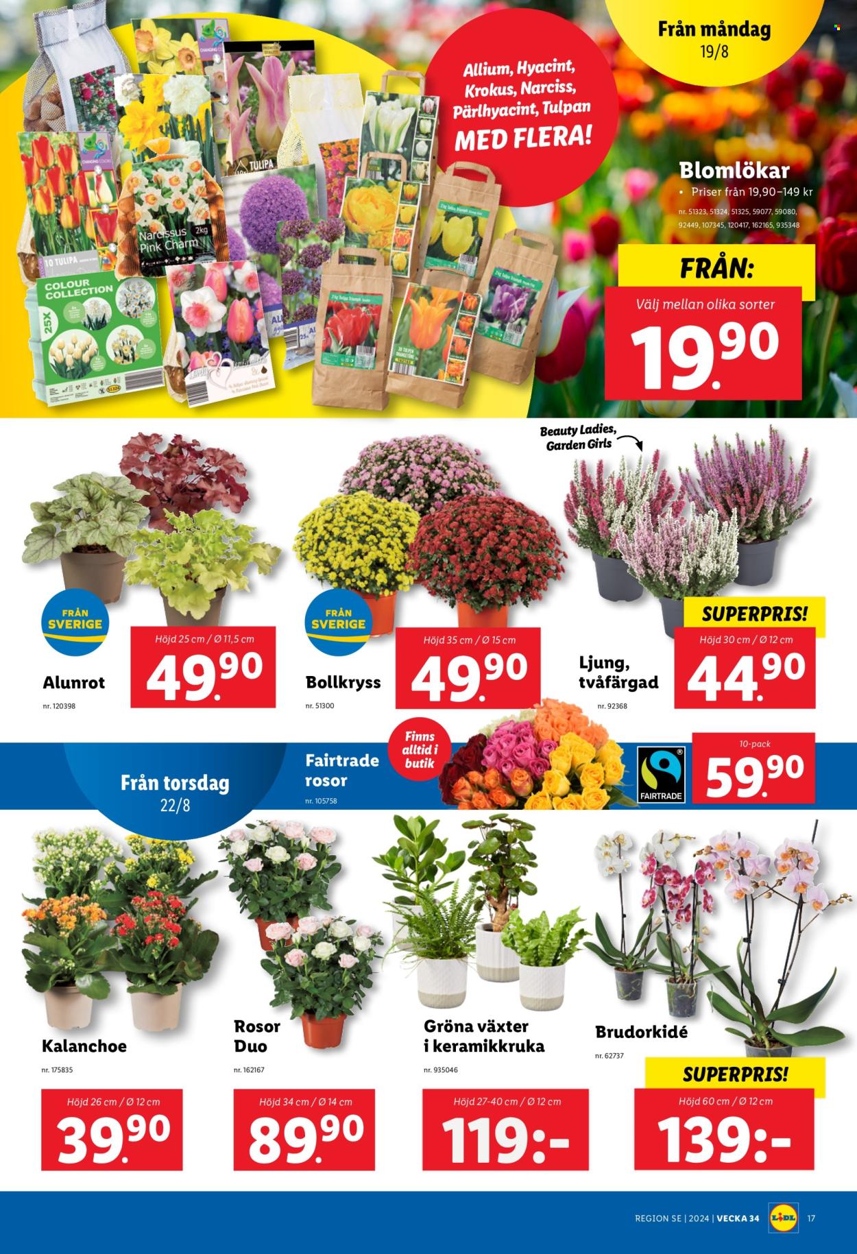 Lidl reklamblad - 19/8 2024 - 25/8 2024. Sida 17