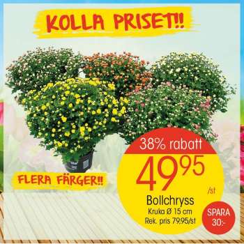 EKO reklamblad.