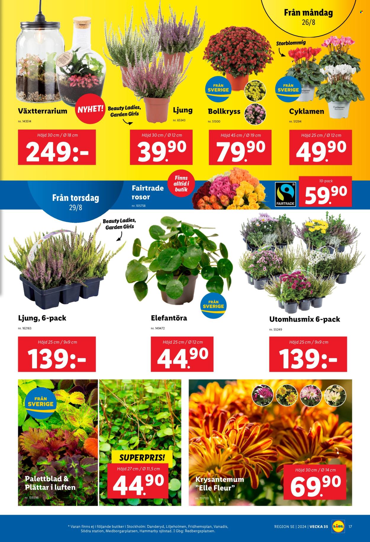 Lidl reklamblad - 26/8 2024 - 1/9 2024. Sida 19