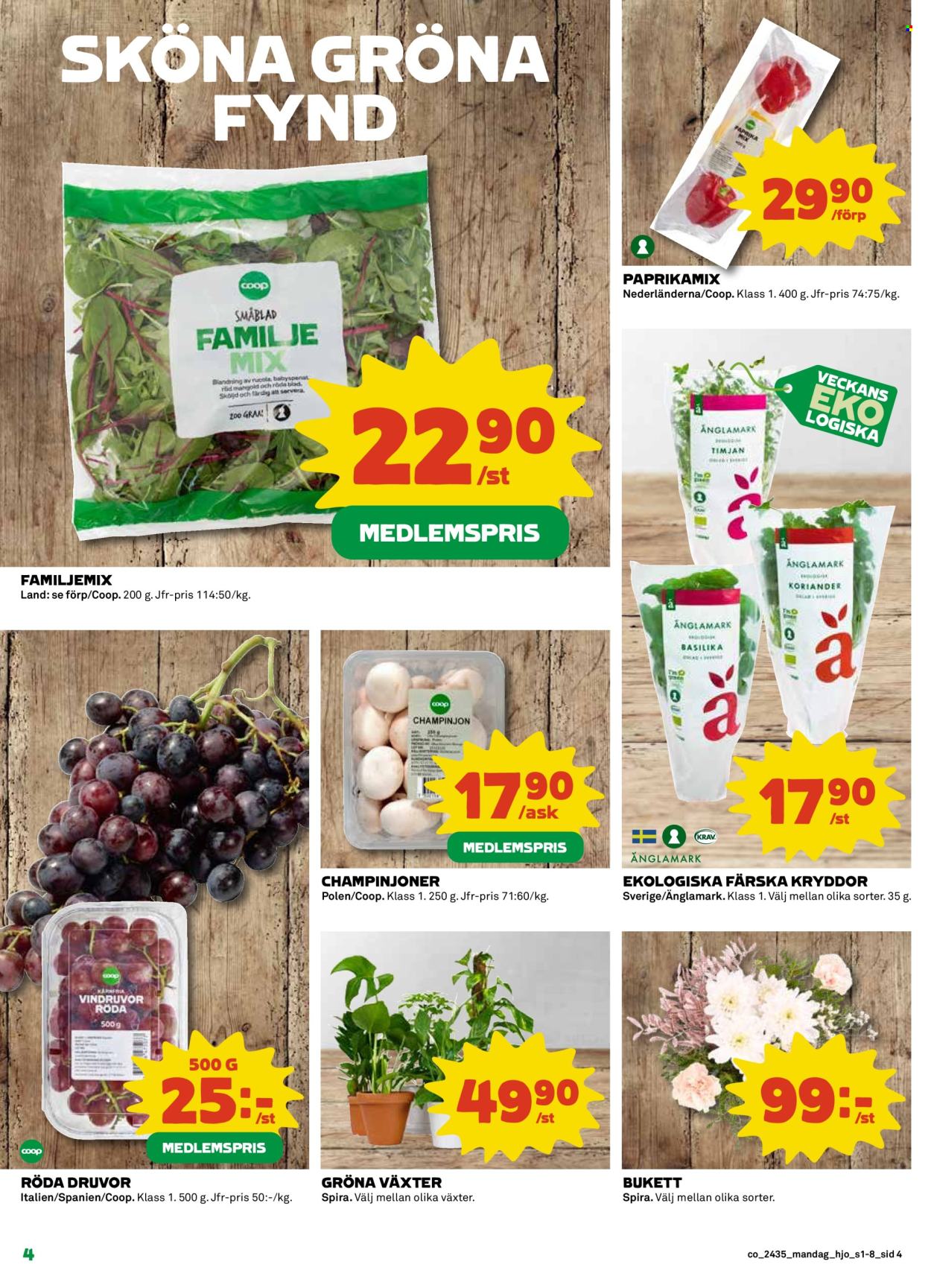 Coop reklamblad - 26/8 2024 - 1/9 2024. Sida 4