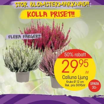EKO reklamblad.