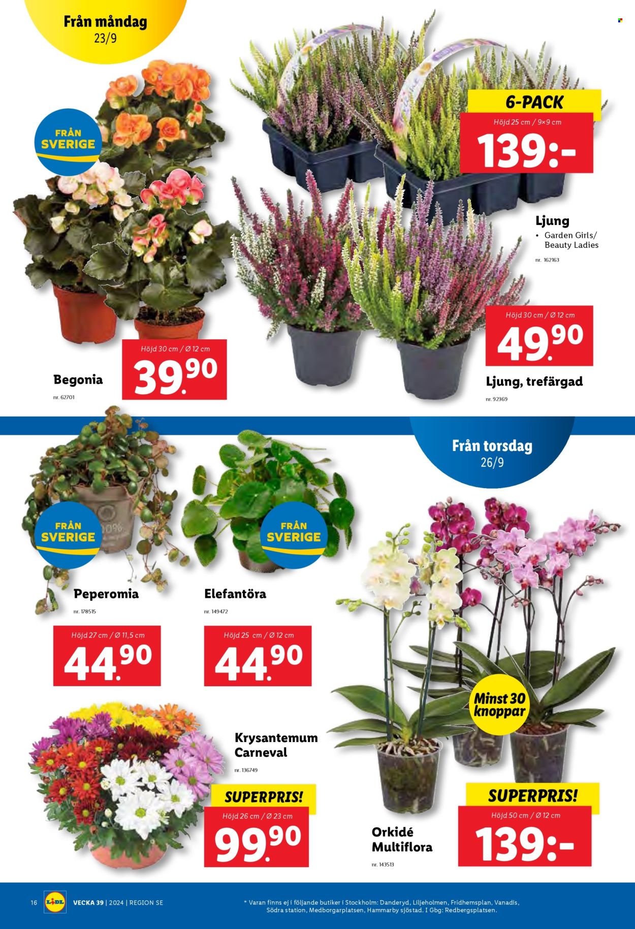 Lidl reklamblad - 23/9 2024 - 29/9 2024. Sida 20