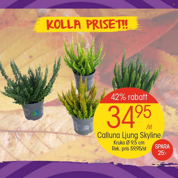EKO reklamblad. Sida 3