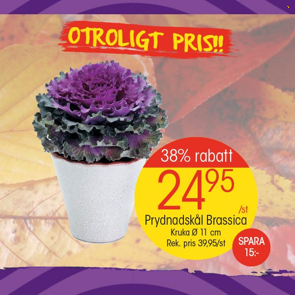 EKO reklamblad. Sida 7