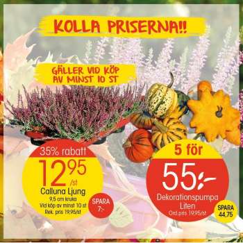 EKO reklamblad - 30/9 2024 - 6/10 2024.