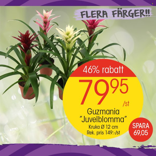 EKO reklamblad - 14/10 2024 - 20/10 2024. Sida 11