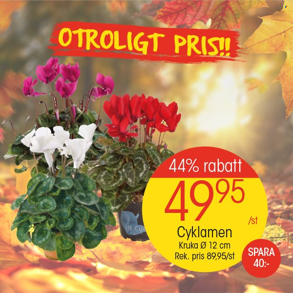 EKO reklamblad - 21/10 2024 - 27/10 2024. Sida 11