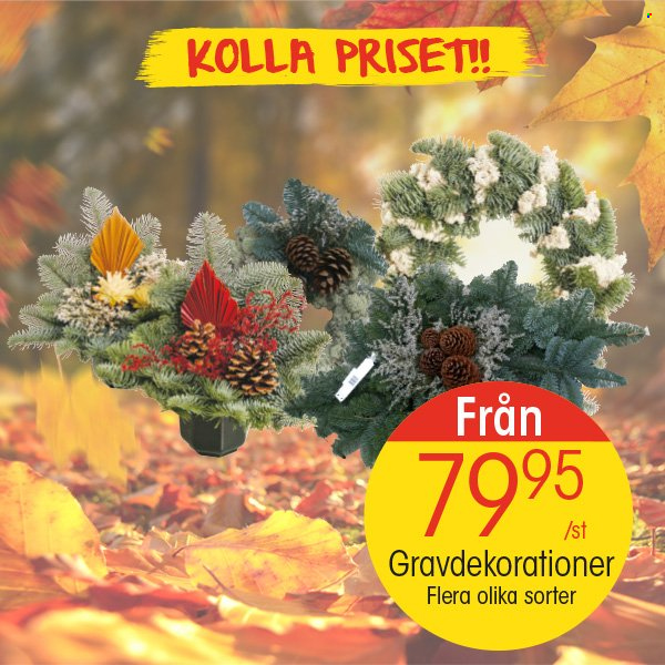 EKO reklamblad - 21/10 2024 - 27/10 2024. Sida 16