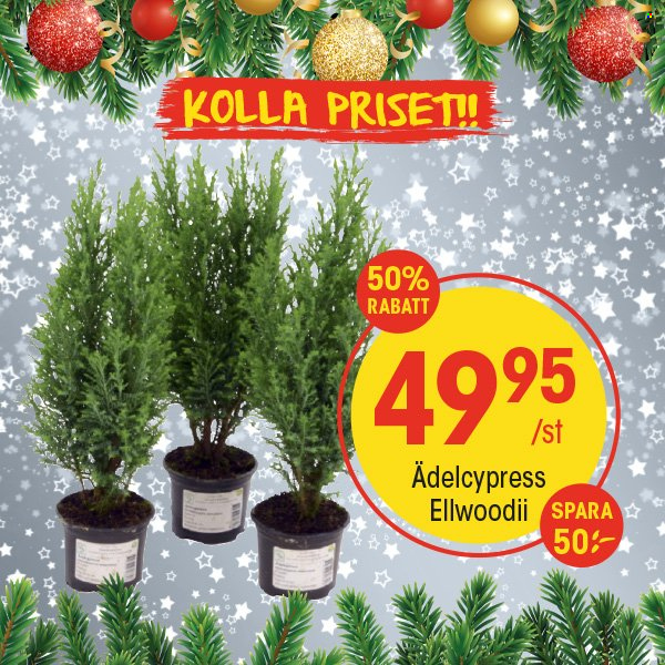 EKO reklamblad - 11/11 2024 - 17/11 2024. Sida 4