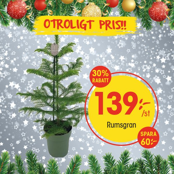 EKO reklamblad - 11/11 2024 - 17/11 2024. Sida 5