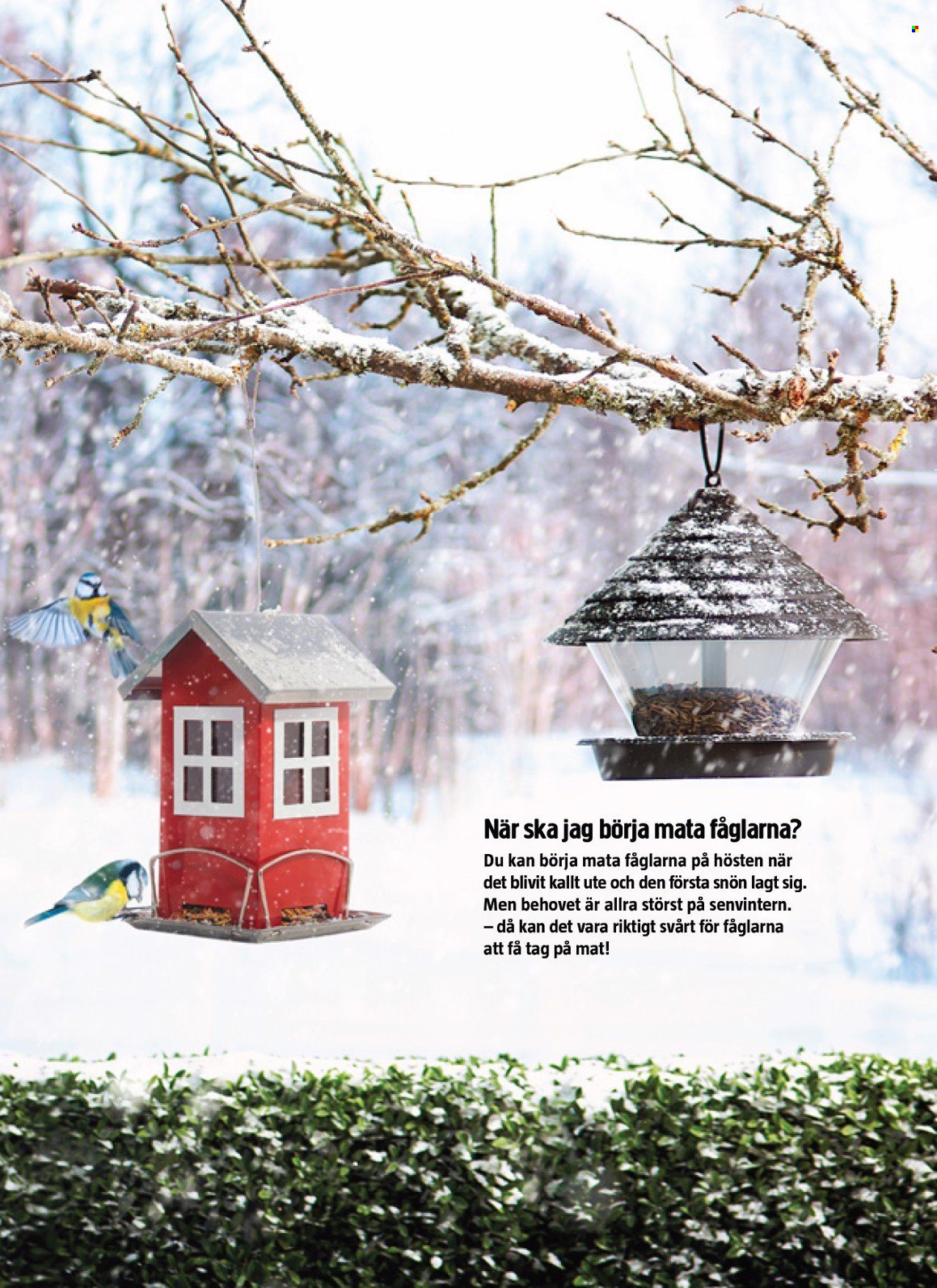 Jula reklamblad - 20/12 2024 - 2/1 2025. Sida 11