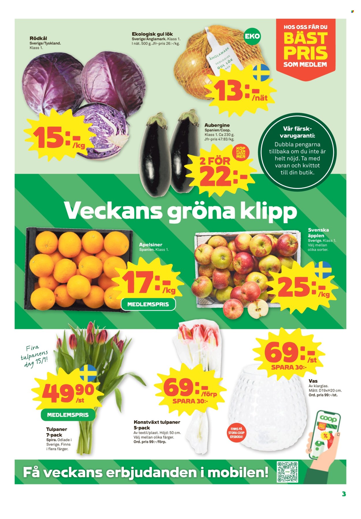 Stora Coop reklamblad - 13/1 2025 - 19/1 2025. Sida 3