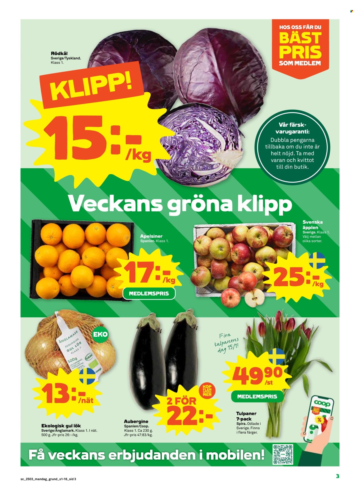 Stora Coop reklamblad - 13/1 2025 - 19/1 2025. Sida 3