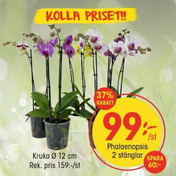 EKO reklamblad.