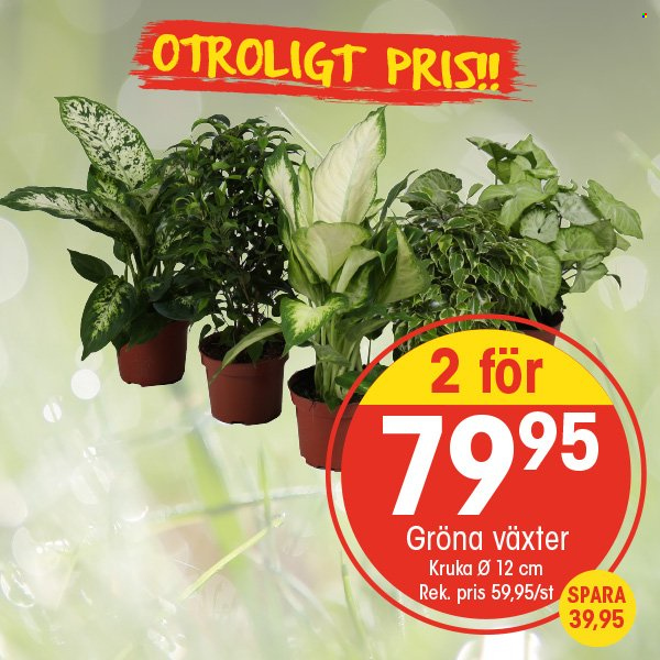 EKO reklamblad. Sida 2