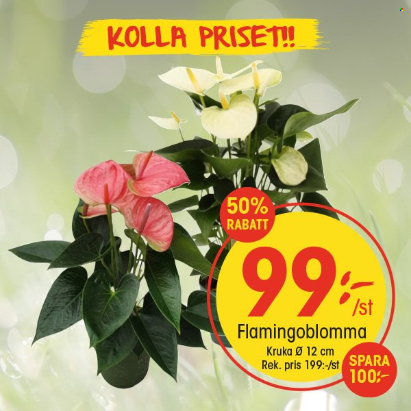 EKO reklamblad. Sida 3