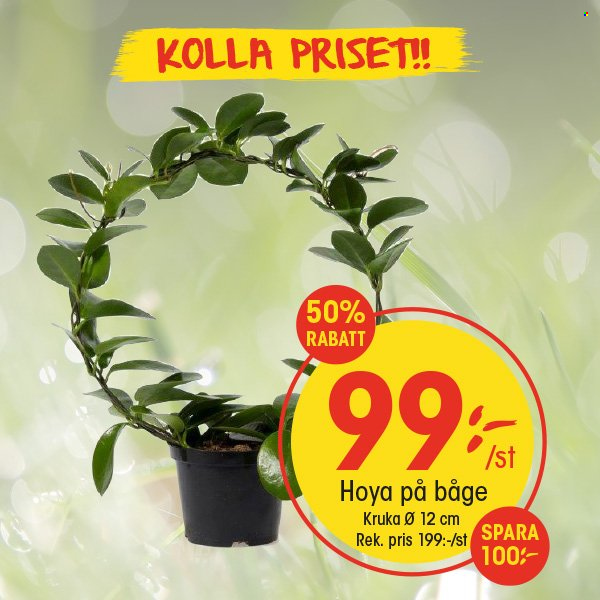 EKO reklamblad. Sida 5