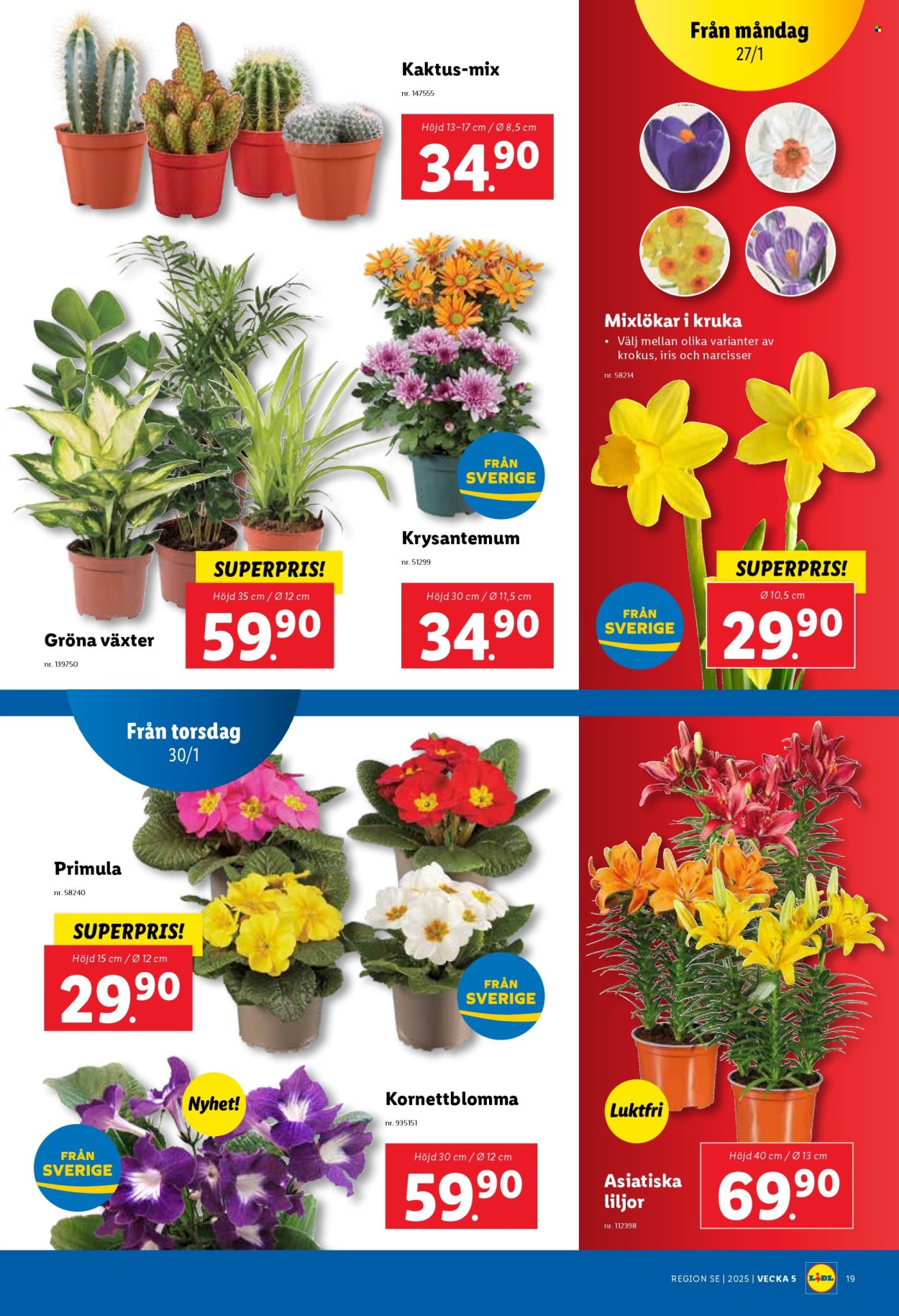 Lidl reklamblad - 27/1 2025 - 2/2 2025. Sida 19