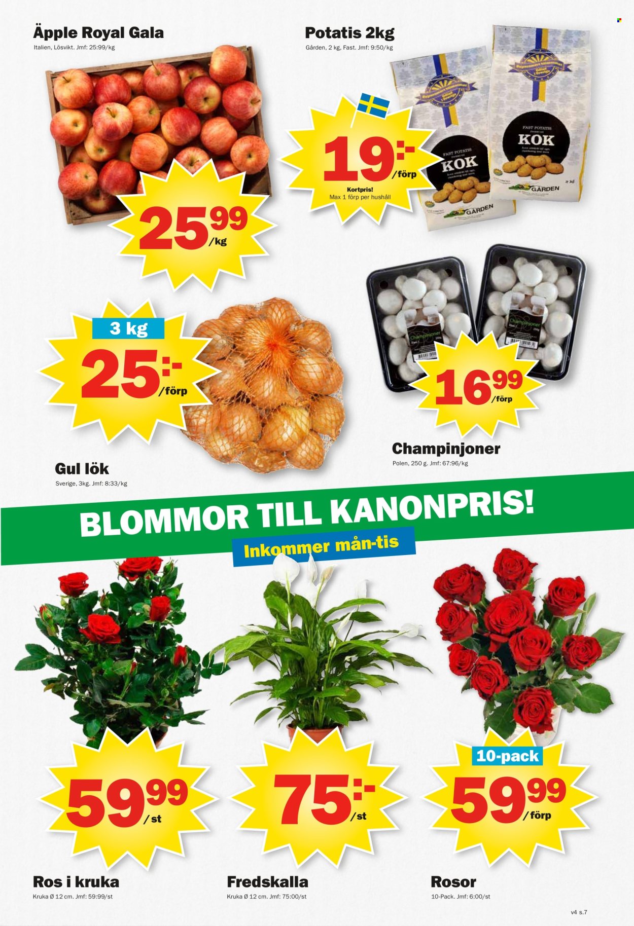 Pekås reklamblad - 20/1 2025 - 26/1 2025. Sida 7