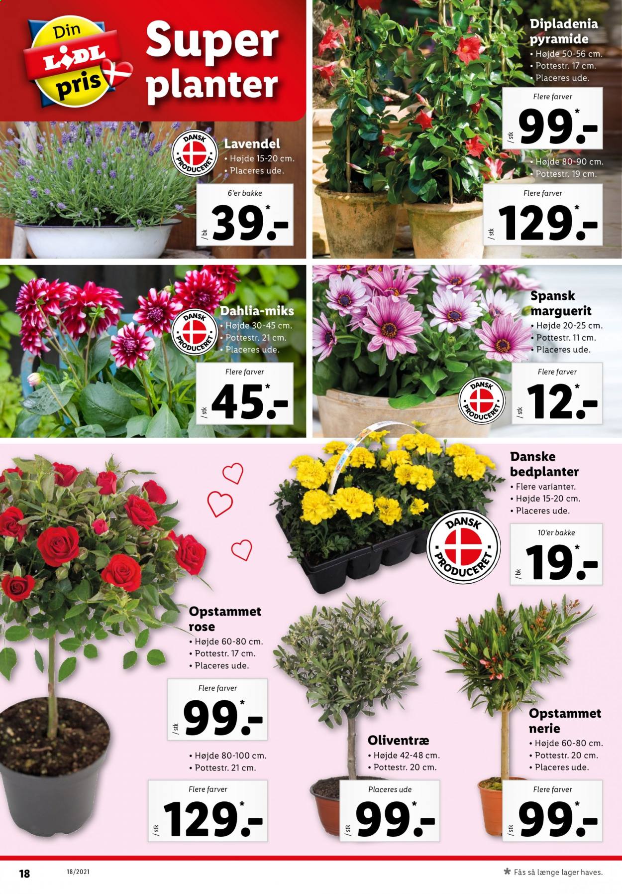 Lidl tilbud - 2.5.2021 - 8.5.2021. Side 18