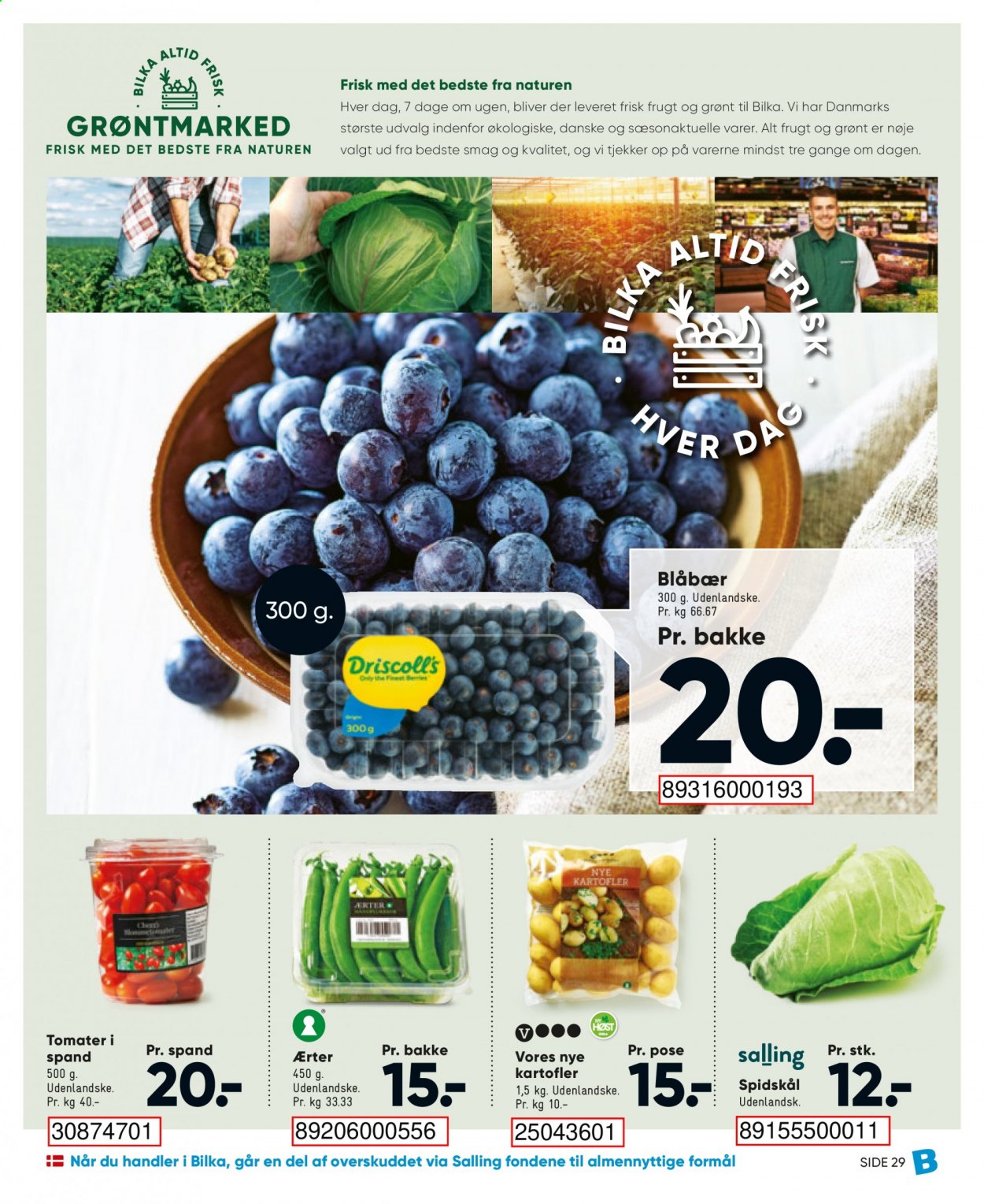 thumbnail - Bilka tilbud  - 1.5.2021 - 6.5.2021 - tilbudsprodukter - blåbær, ærter, kartofler, nye kartofler, spidskål, tomat, spand. Side 33.