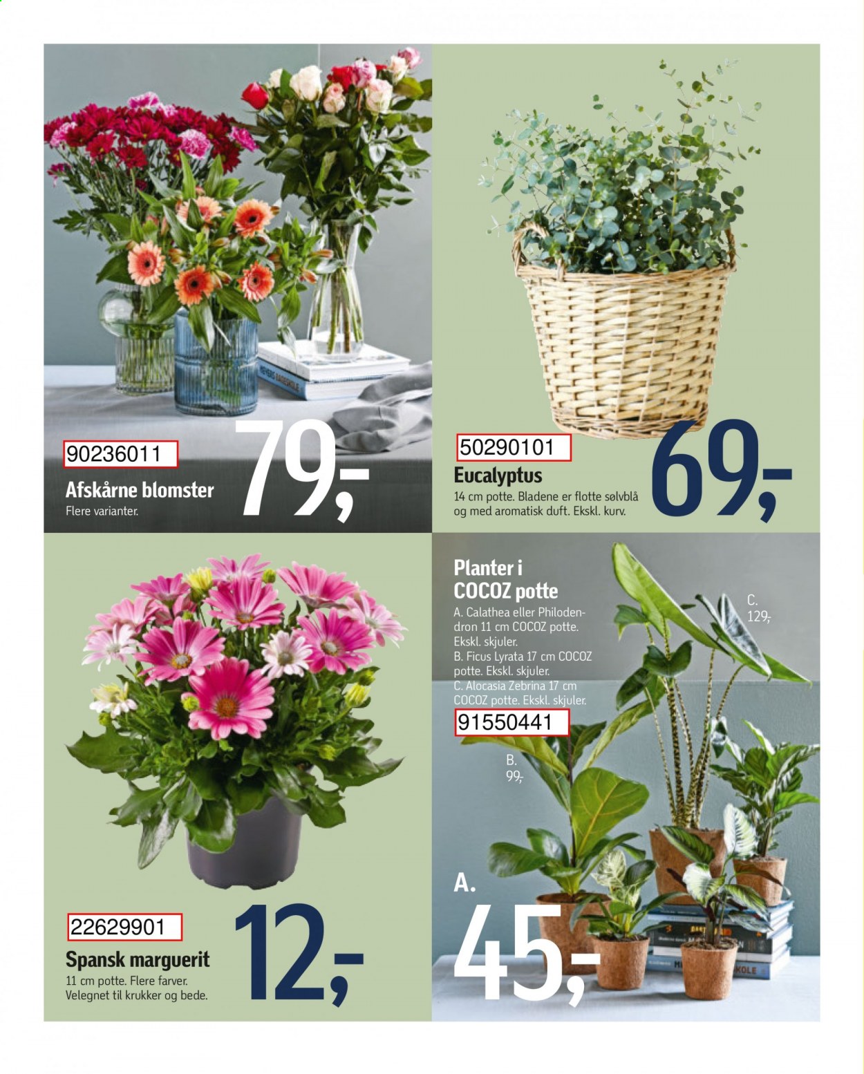 føtex tilbud - 28.5.2021 - 3.6.2021. Side 34