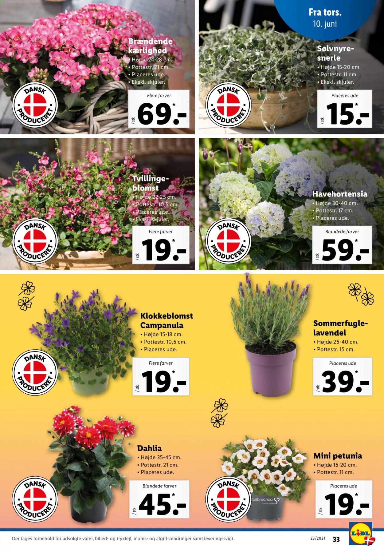 Lidl tilbud - 6.6.2021 - 12.6.2021. Side 35