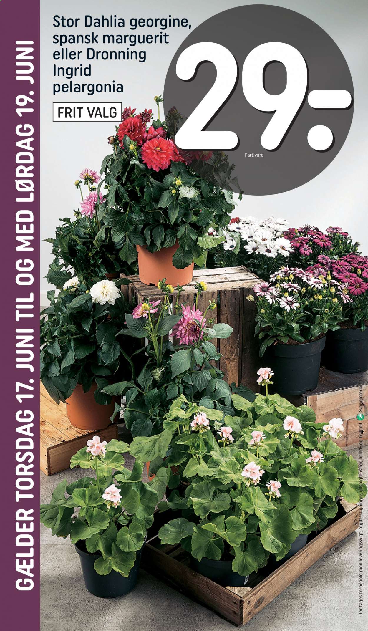 Rema 1000 tilbud - 13.6.2021 - 19.6.2021. Side 28