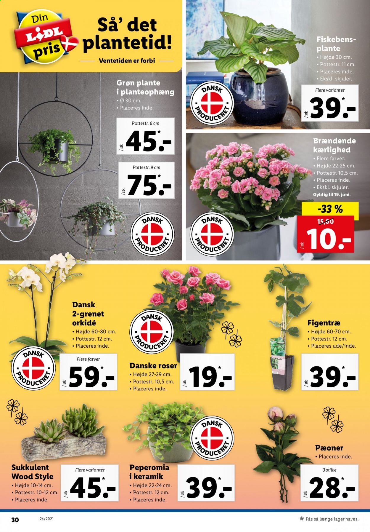 Lidl tilbud - 13.6.2021 - 19.6.2021. Side 30