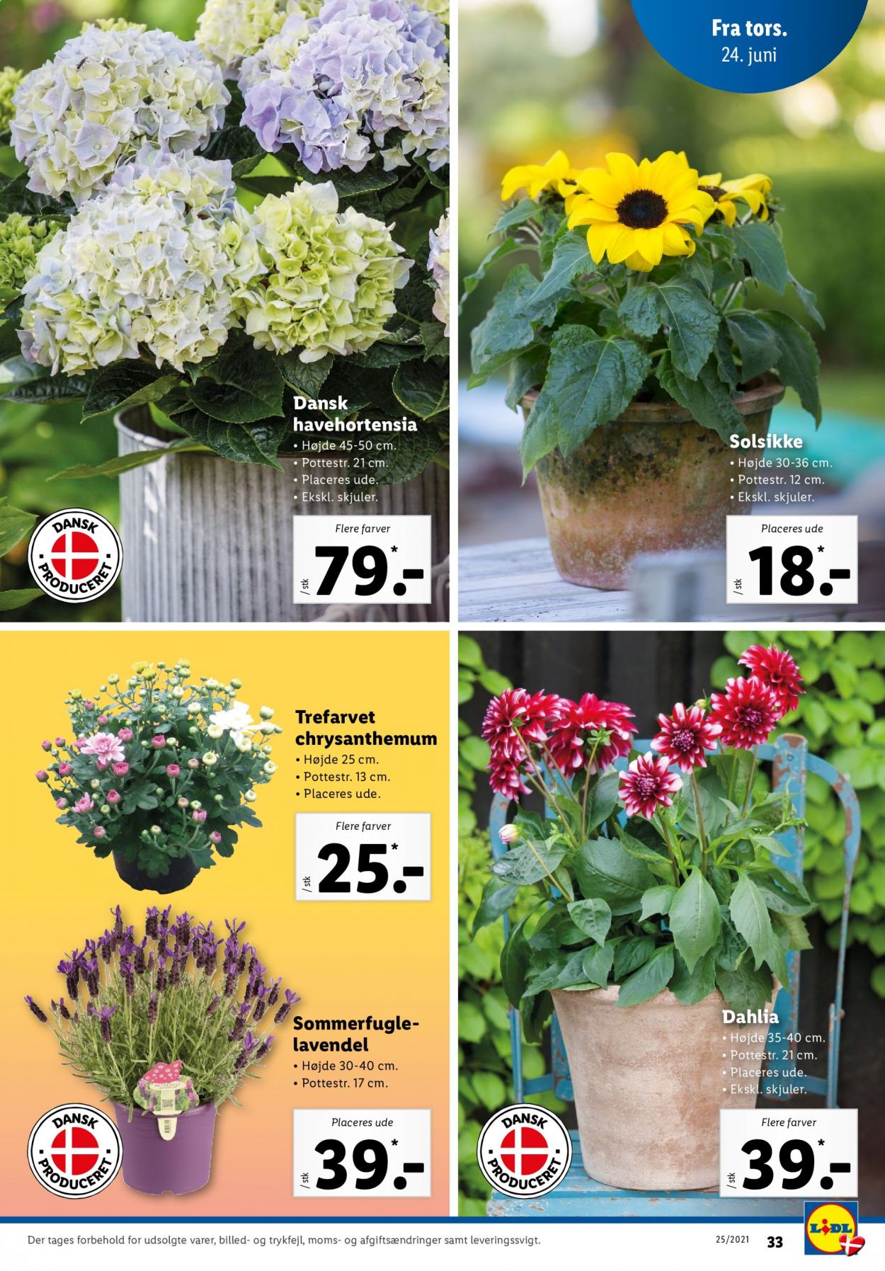 Lidl tilbud - 20.6.2021 - 26.6.2021. Side 33