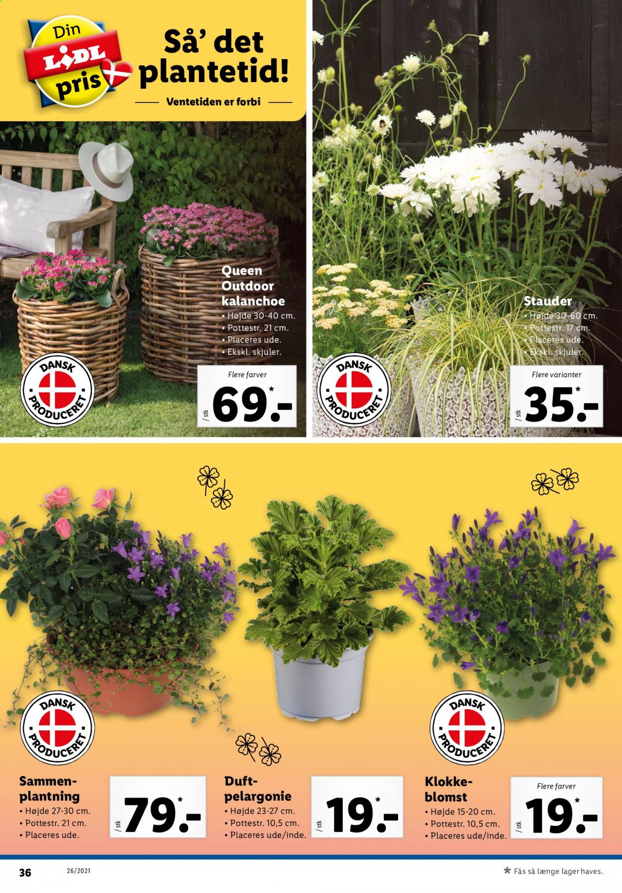 Lidl tilbud - 27.6.2021 - 3.7.2021. Side 38