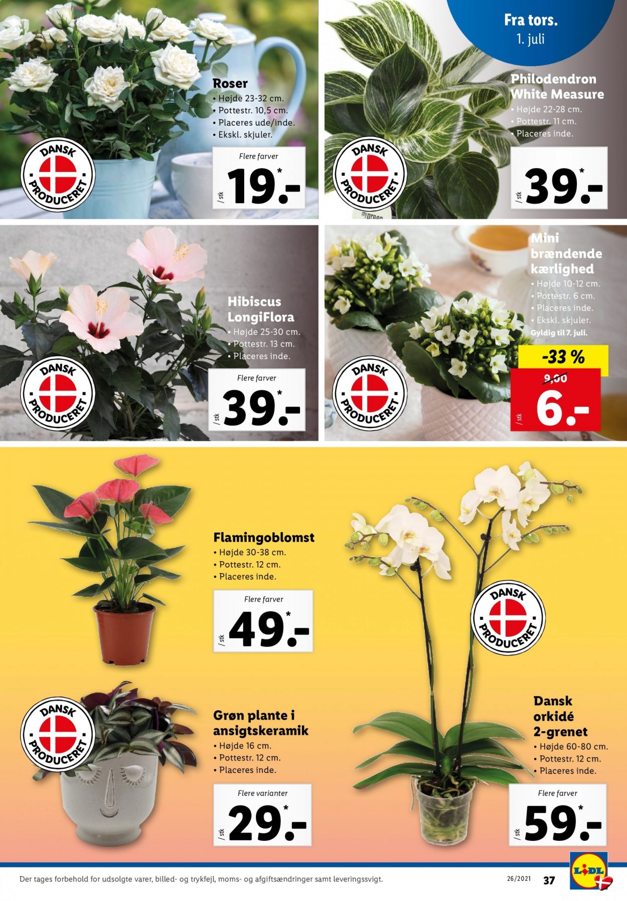 Lidl tilbud - 27.6.2021 - 3.7.2021. Side 39