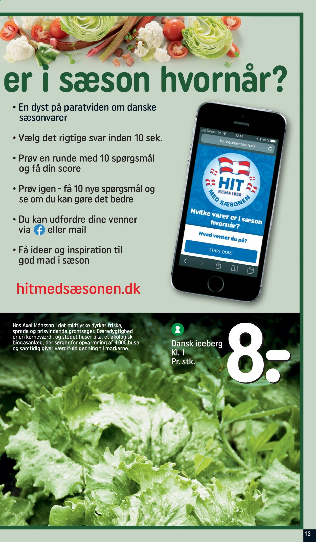 Rema 1000 tilbud - 27.6.2021 - 3.7.2021. Side 13