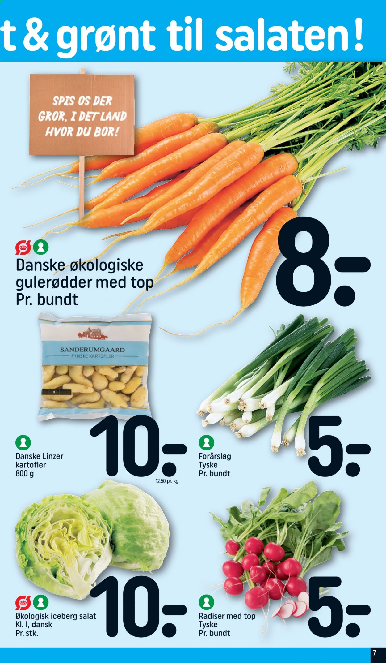 thumbnail - Rema 1000 tilbud  - 4.7.2021 - 10.7.2021 - tilbudsprodukter - forårsløg, gulerod, iceberg salat, kartofler, radiser, salat. Side 7.