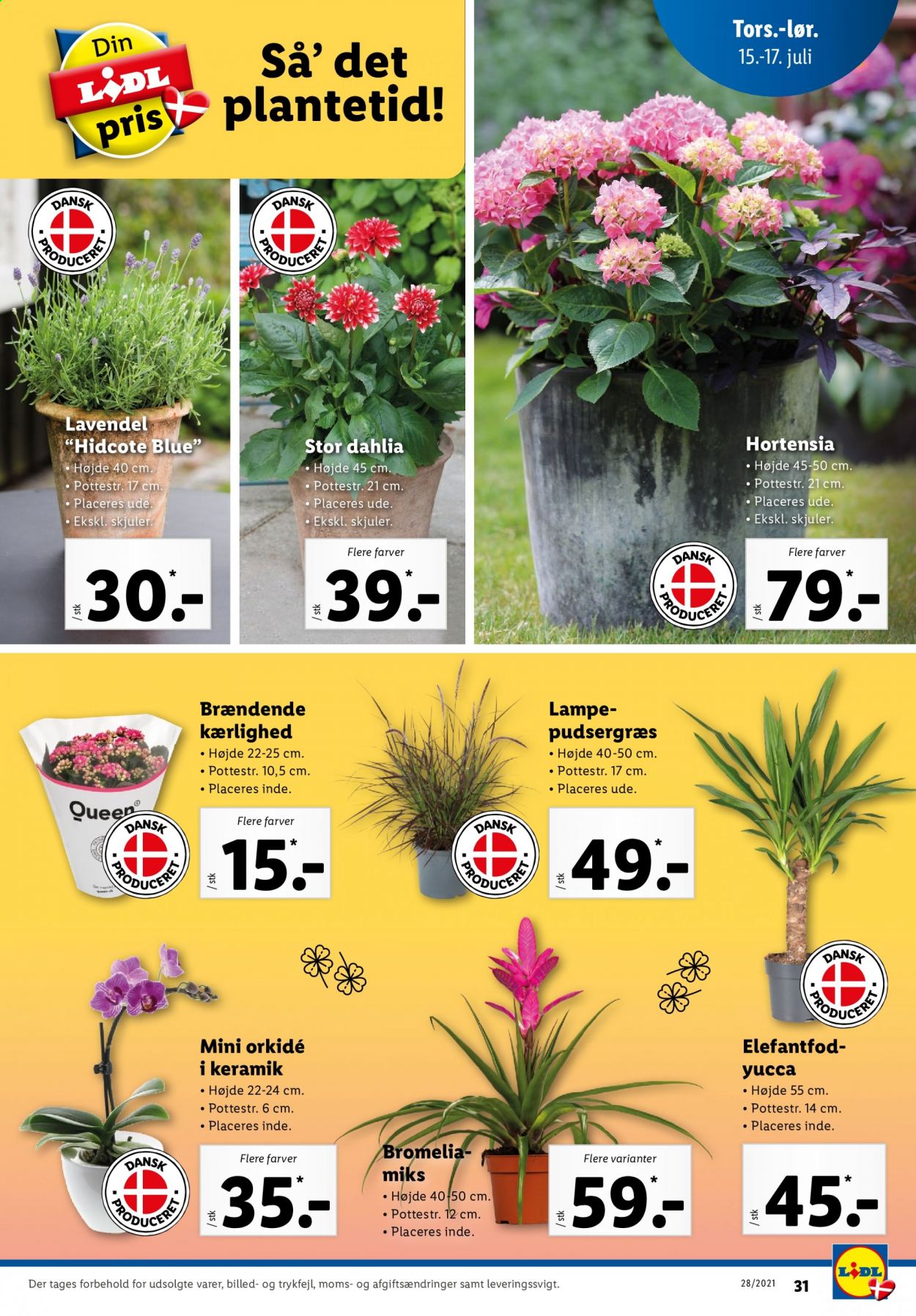 Lidl tilbud - 11.7.2021 - 17.7.2021. Side 31