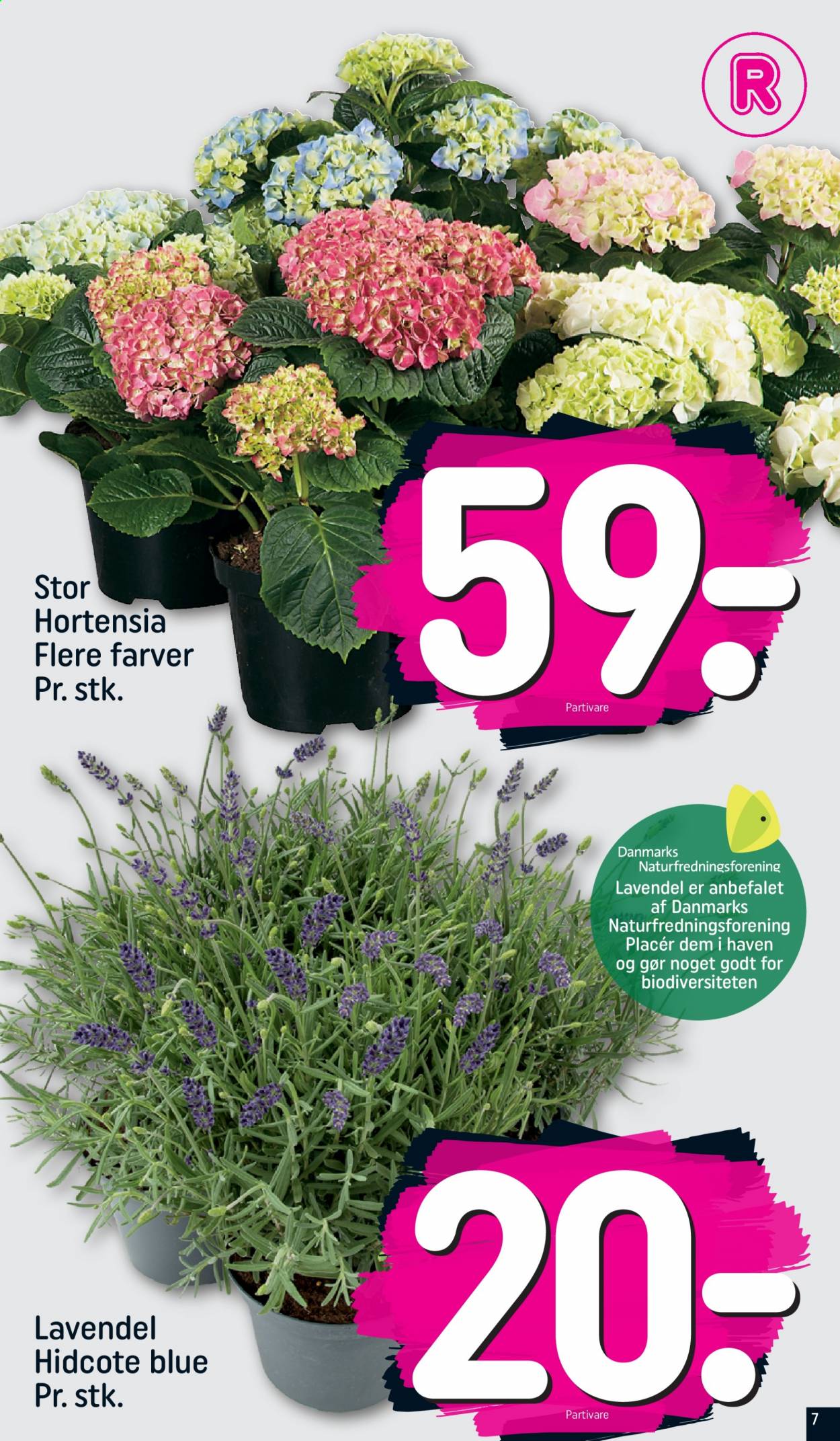 Rema 1000 tilbud - 8.8.2021 - 14.8.2021. Side 7