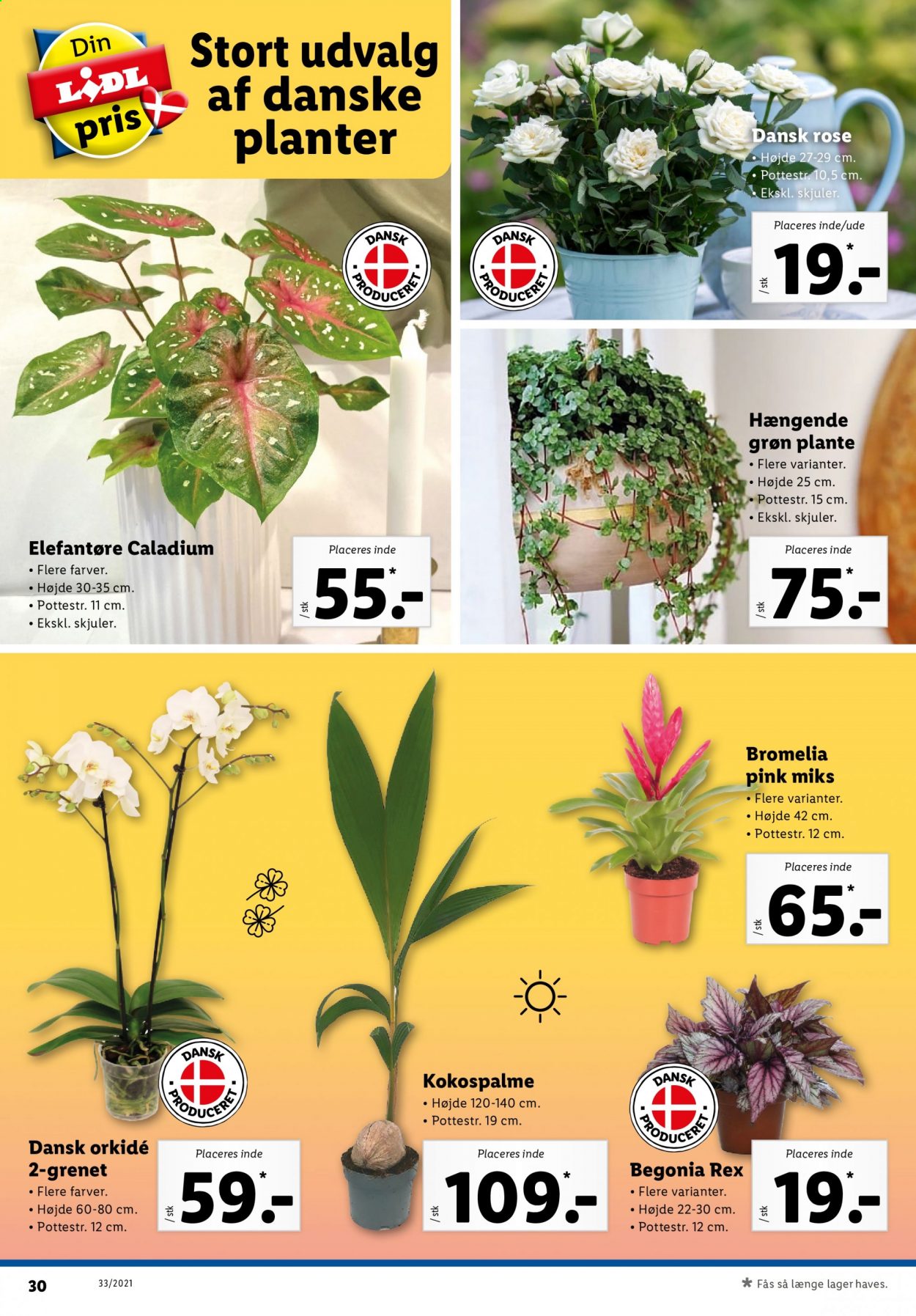 Lidl tilbud - 15.8.2021 - 21.8.2021. Side 32